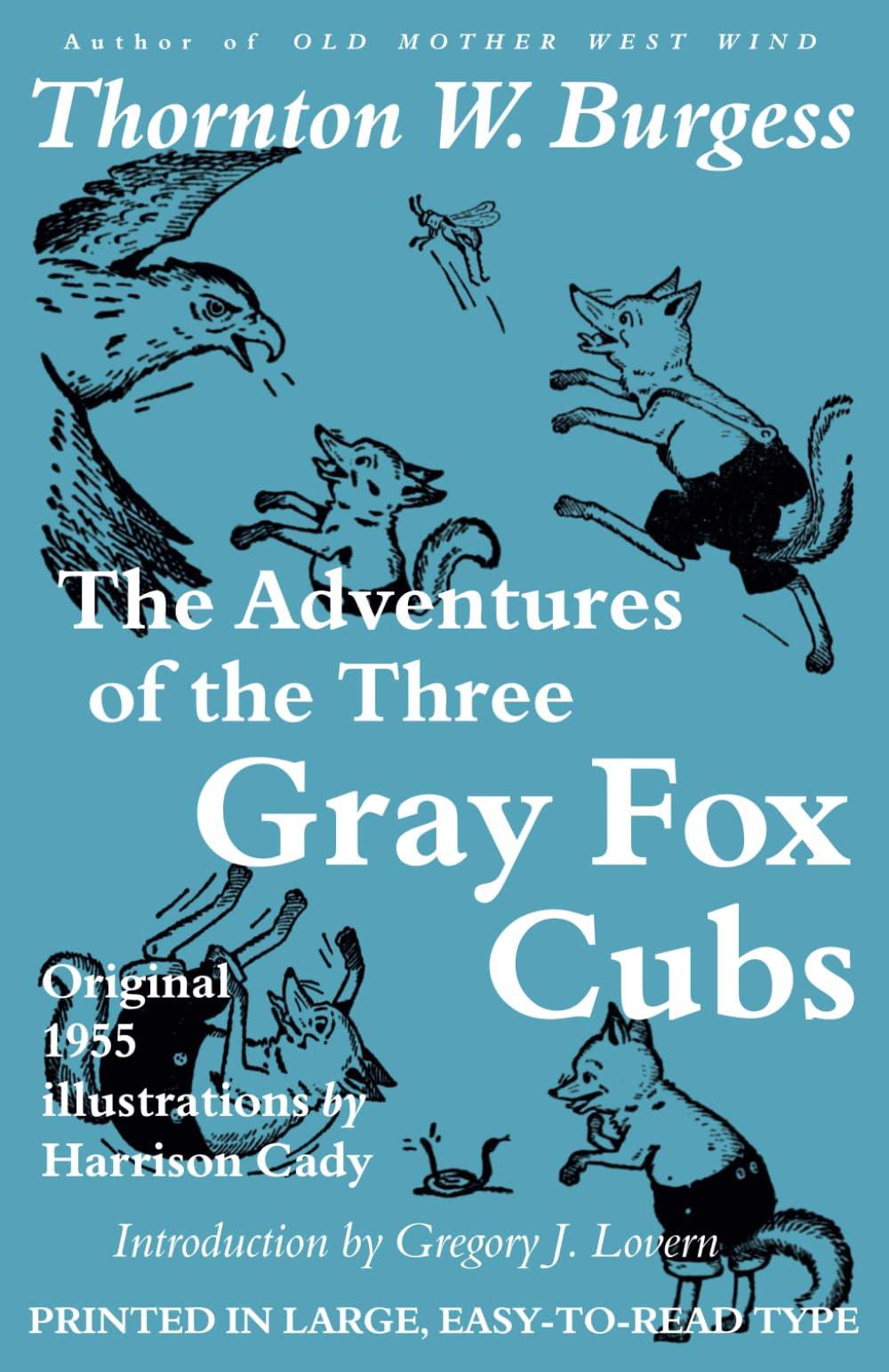 The Adventures of the Three Gray Fox Cubs: With 33 original vintage illustrations by Harrison Cady