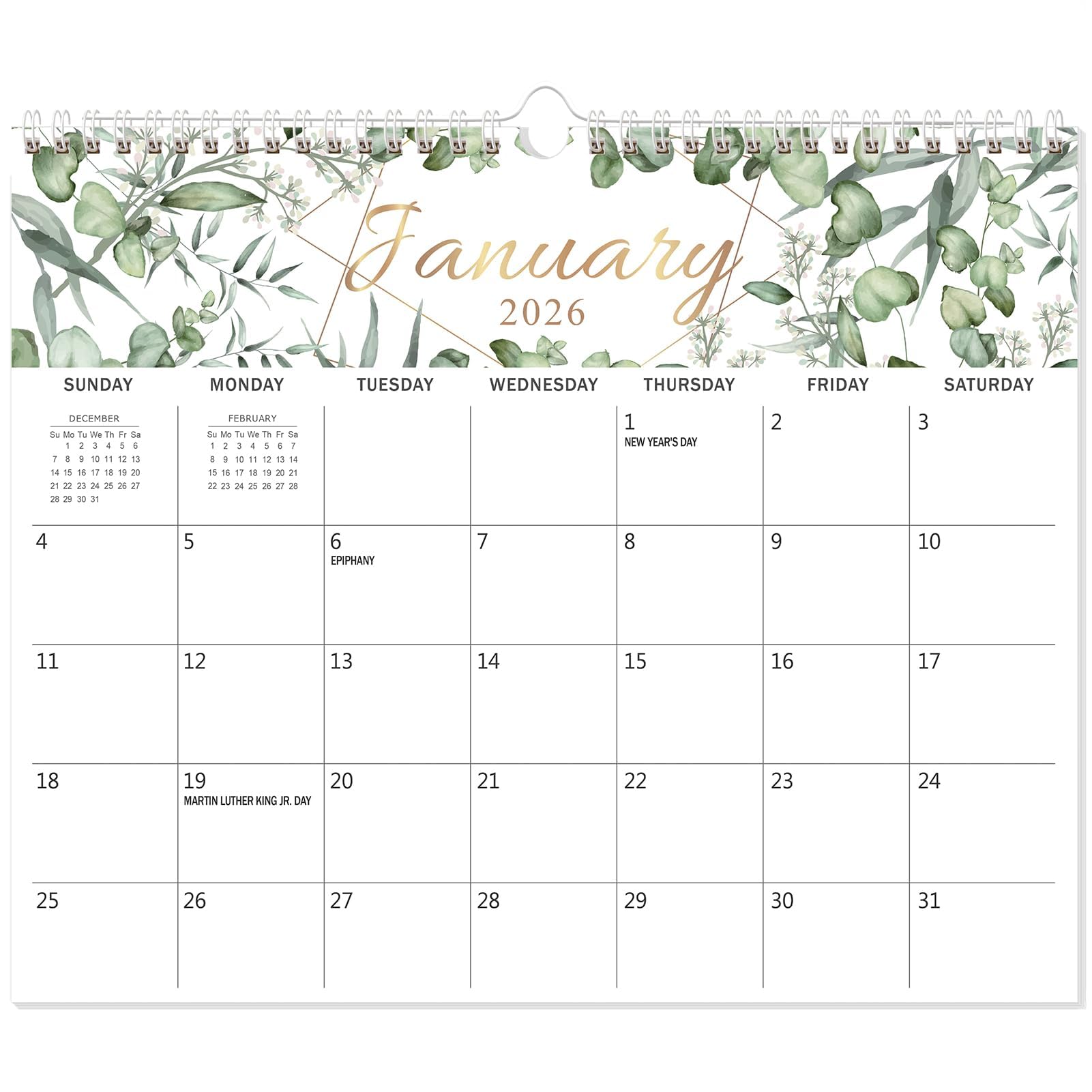 GuassLee Wall Calendar 2026, 18-Months Hanging Desk/Wall Calendar Runs From Jan. 2026 to Jun. 2027, 14" x 11.5" Monthly Planner Wall with Thick Paper, Plant Design for Office School Home Organizing