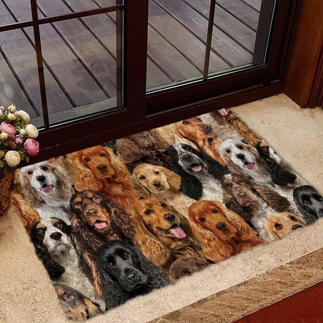 Agriism Door Mat Indoor Entrance Porch Flannel