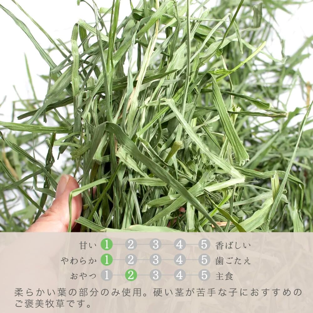 Amazon | うさぎ 牧草 令和5年産 国産 旬のやわらか 茎なしオーツヘイ