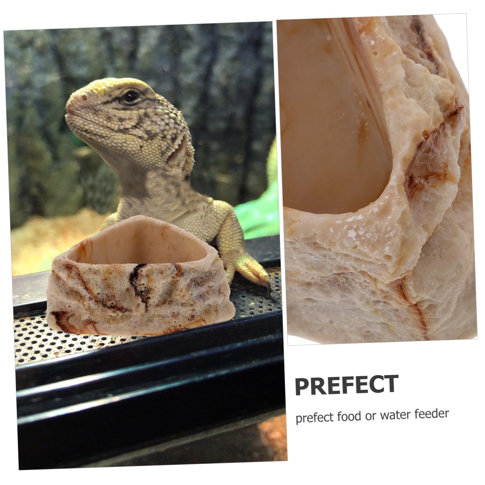 BESPORTBLE 4piezas Tazón De Comida y Agua para Reptiles Plato De Alimentación Antideslizante para Tortugas Comedero De Diseño De Roca para y para y Comer