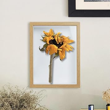 Picture Frames Photo Frame 6X4-3D Shadow Boxes for Tabletop and Wall Wooden Display Box for Crafts Flowers with Mount (Wood431,Depth 5cm)