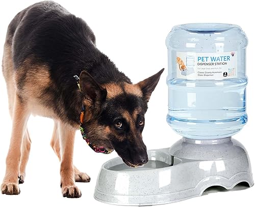 Dispensador de agua para mascotas para perros grandes y múltiples mascotas, dispensador de tazón de agua para perros de 3 galones, alimentador de