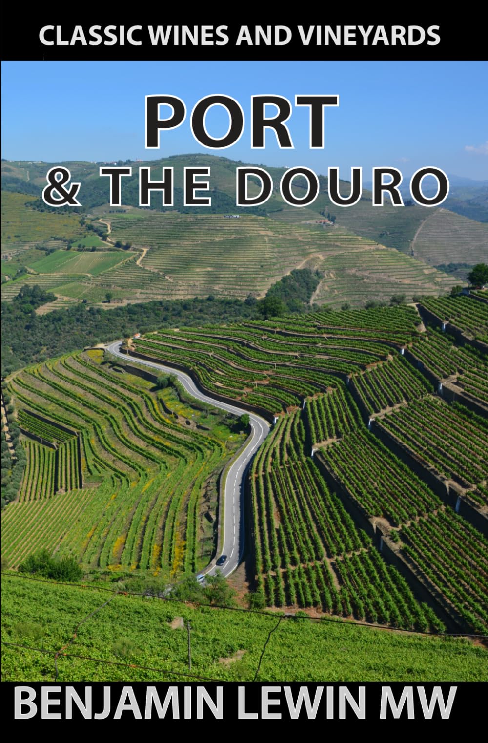 Port and the Douro (Guides to Wines and Top Vineyards)