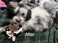 Review Image by Andrea Alvarez Andrea Alvarez