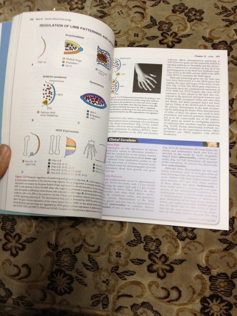 Langman's Medical Embryology      12th Edition