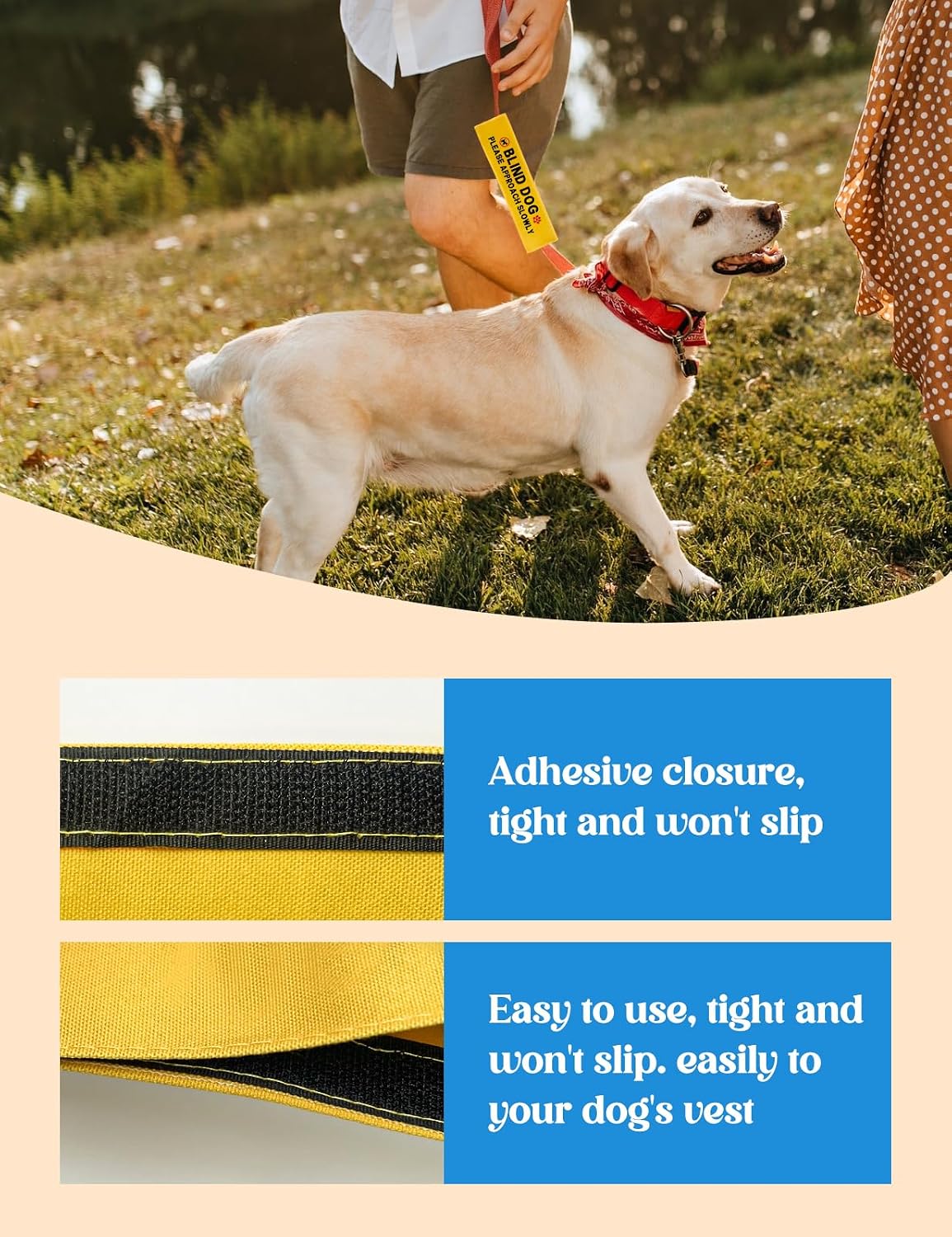 Funny Alert Leash Sleeve, High Visibility Yellow ID Patch Tag, Slow Approach Warning Accessory for Blind Dogs, Essential Must-Haves for Pet Safety, Ideal Birthday Gift image 4