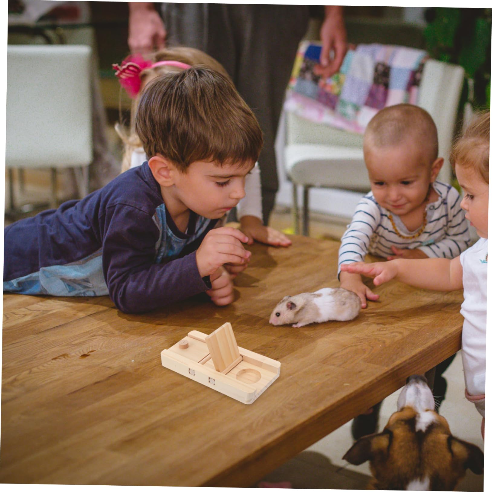 Milisten 8 Teiliges Futtersuchspielzeug Aus Holz Hamsterfutter Entdeckungsspielzeug Hamsterkauspielzeug Hamsterspielzeug Hamster Leckereien Versteckspielzeug Hamsterkäfig Layout