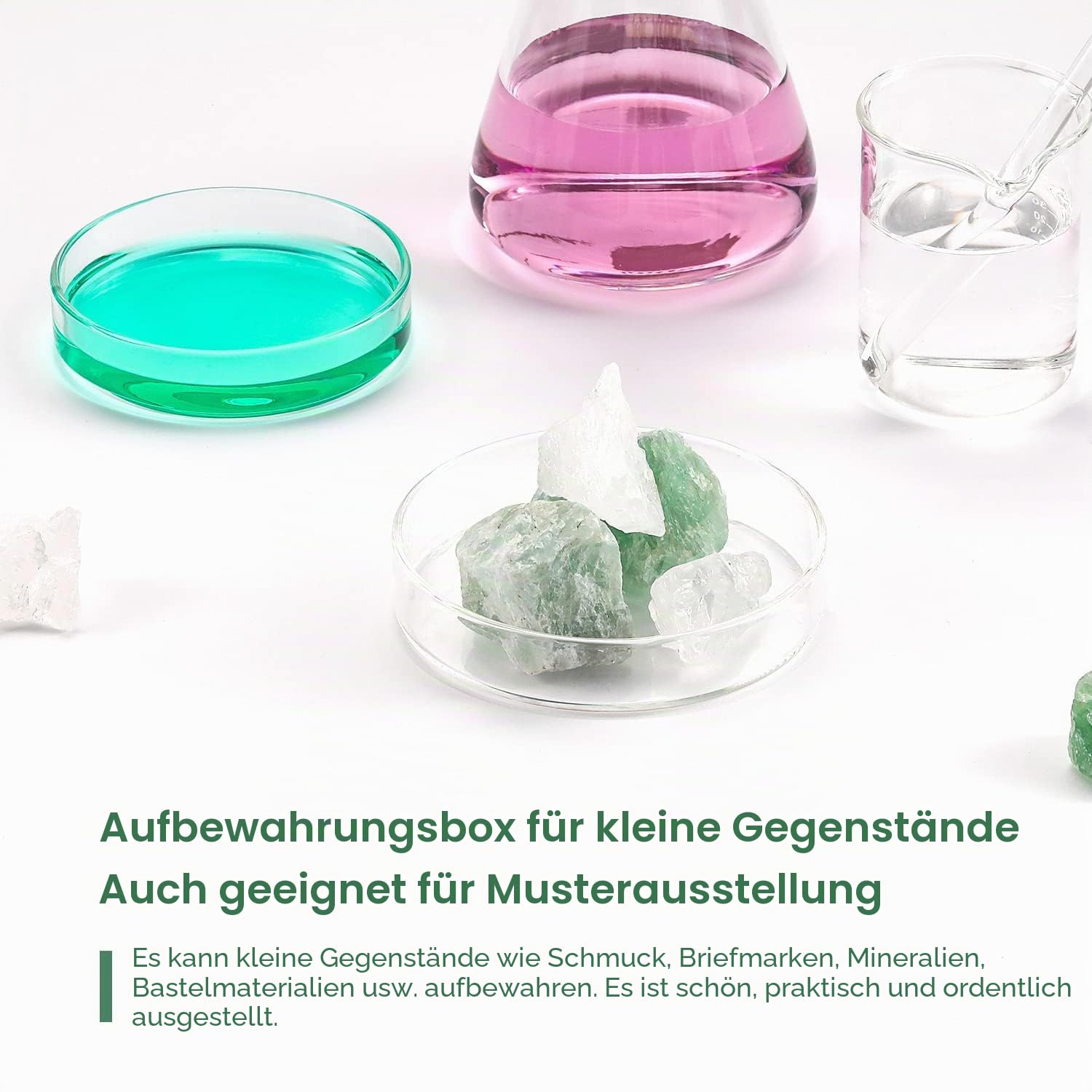 Huanyu 90 mm Petrischalen mit Deckel 5 Stück Glas Petrischale für Bakterienkulturen, Schimmelpilzuntersuchungen, für wissenschaftliche Experimente in Schulen
