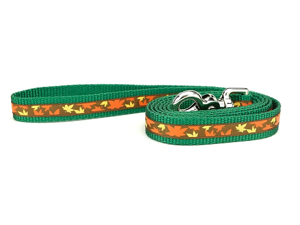 fall dog collars amazon