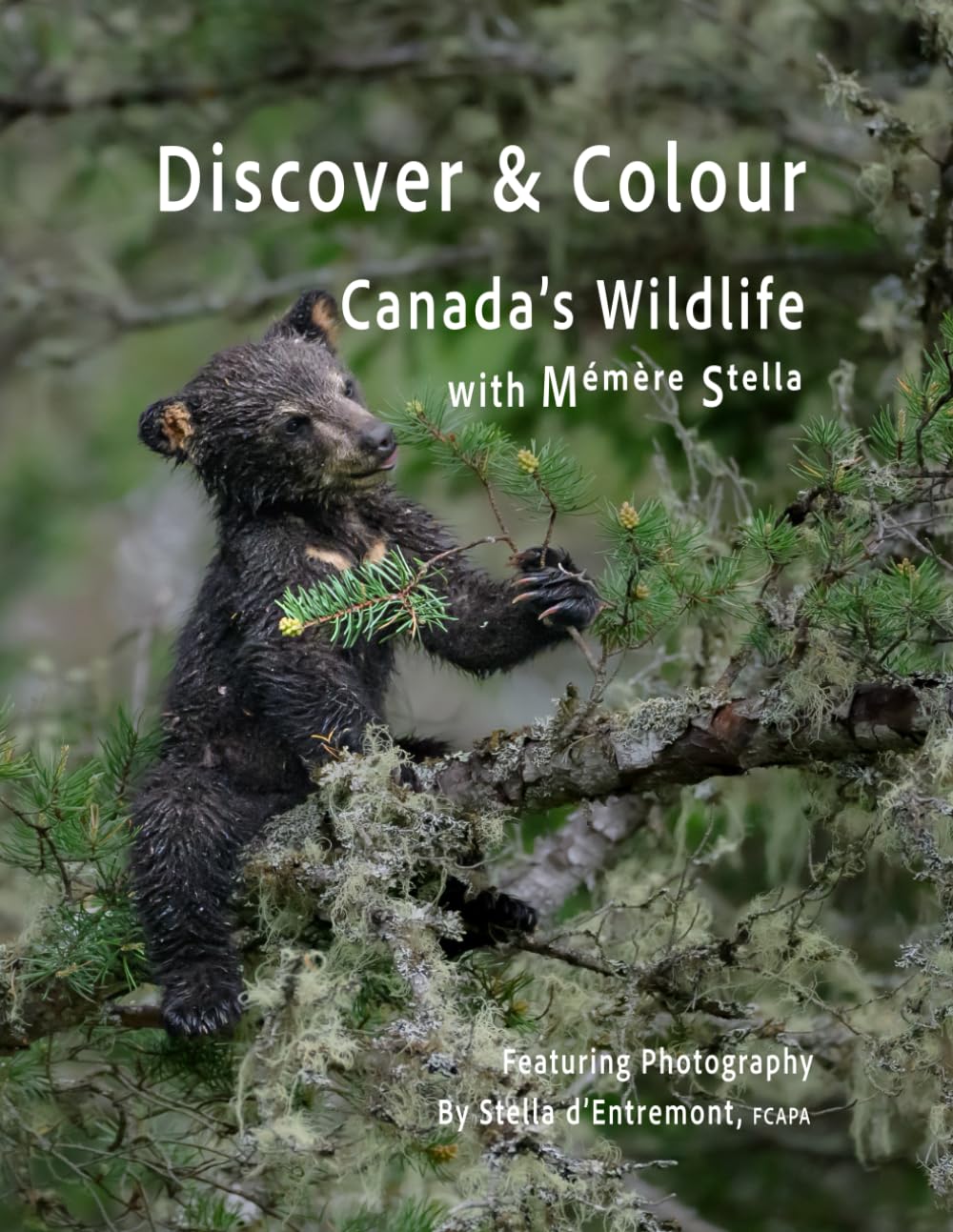Discover & Colour Canada's Wildlife With Mémère