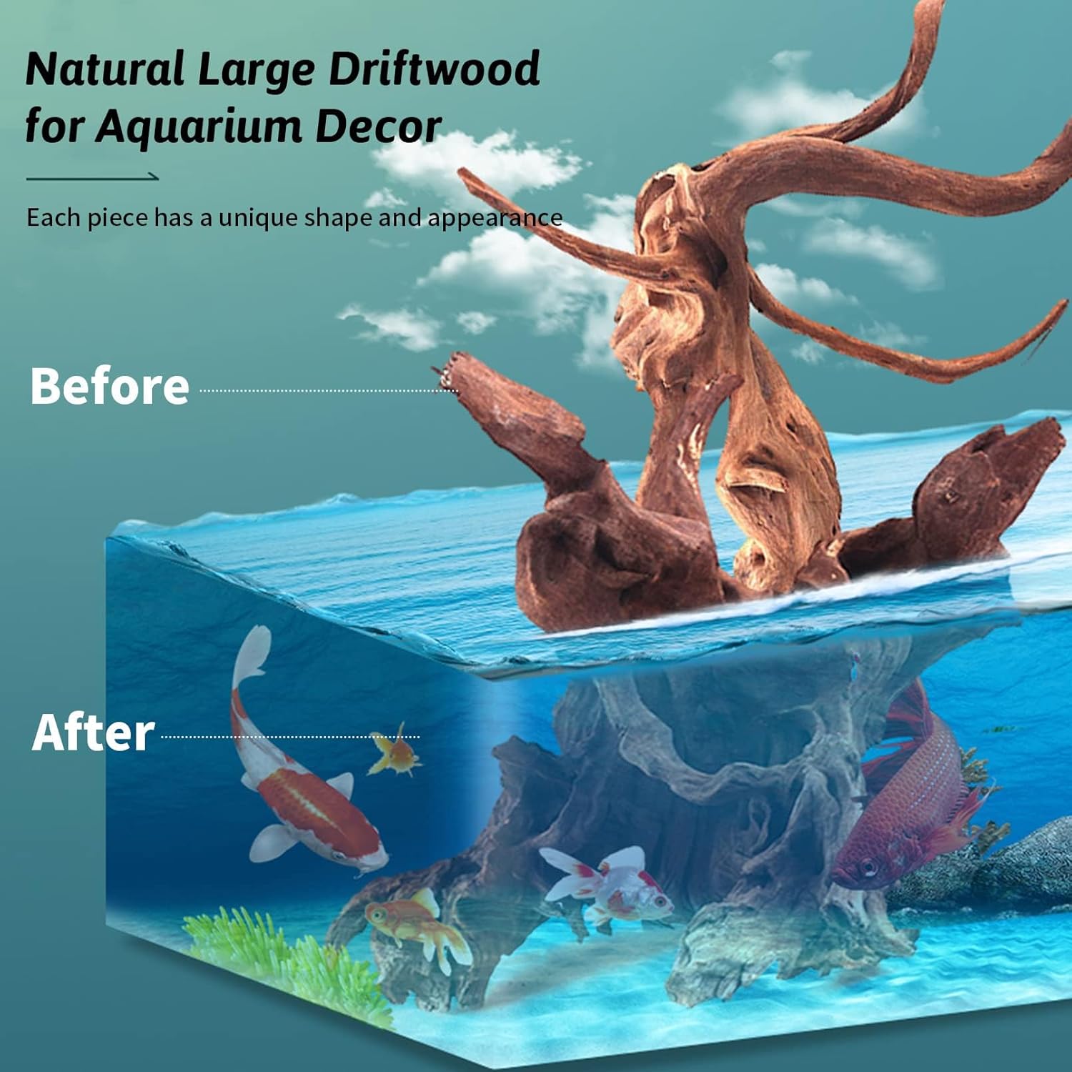Hamiledyi 2 Pcs Large Driftwood for Aquarium 8-18 Inch Driftwood Branches Reptiles Aquarium Decoration Assorted Size Natural Habitat Decor Wood for Lizad