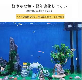 水草水槽スターターセット Amazon | 水槽、水族館スターターキット、金魚水槽、バスケット