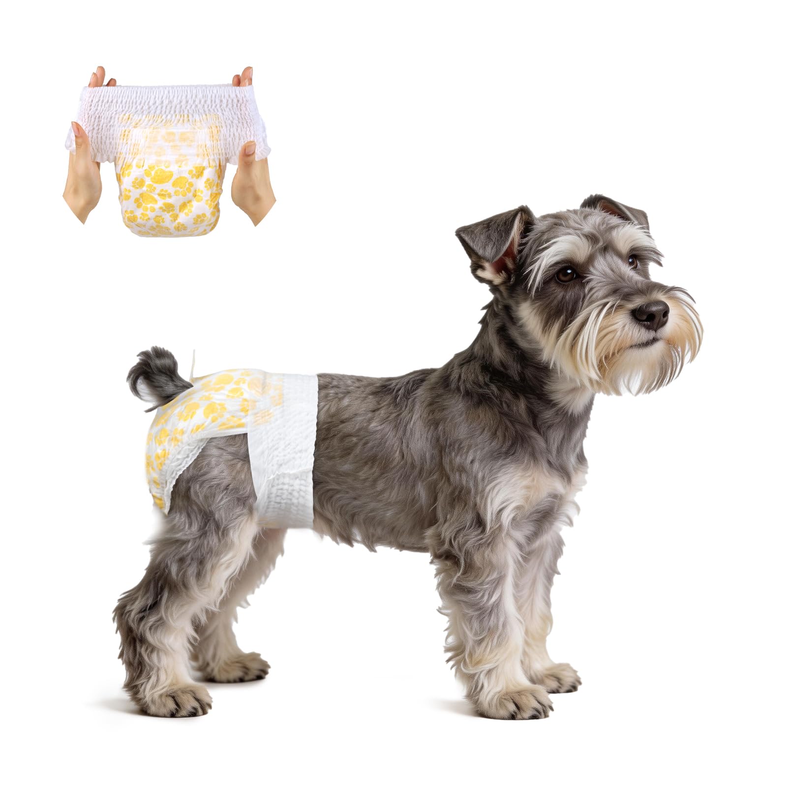 Flying Paws Pannolini Cane USA e Getta Femmina con Elastico in Vita， XS-15 | Super assorbenti，Prova di Perdite，Disponibili in varie misure，Completamente Avvolti,Elastico in Vita