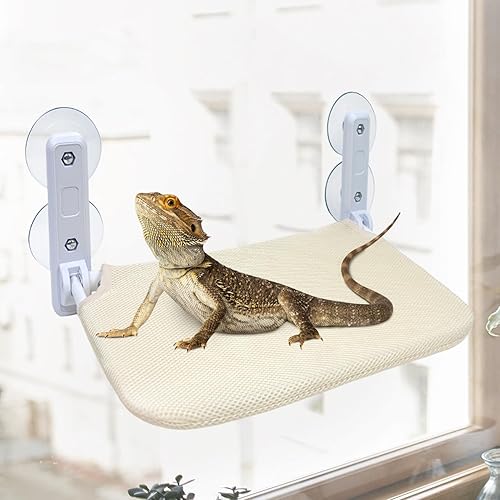 Bearded Dragon Window Perch Bed