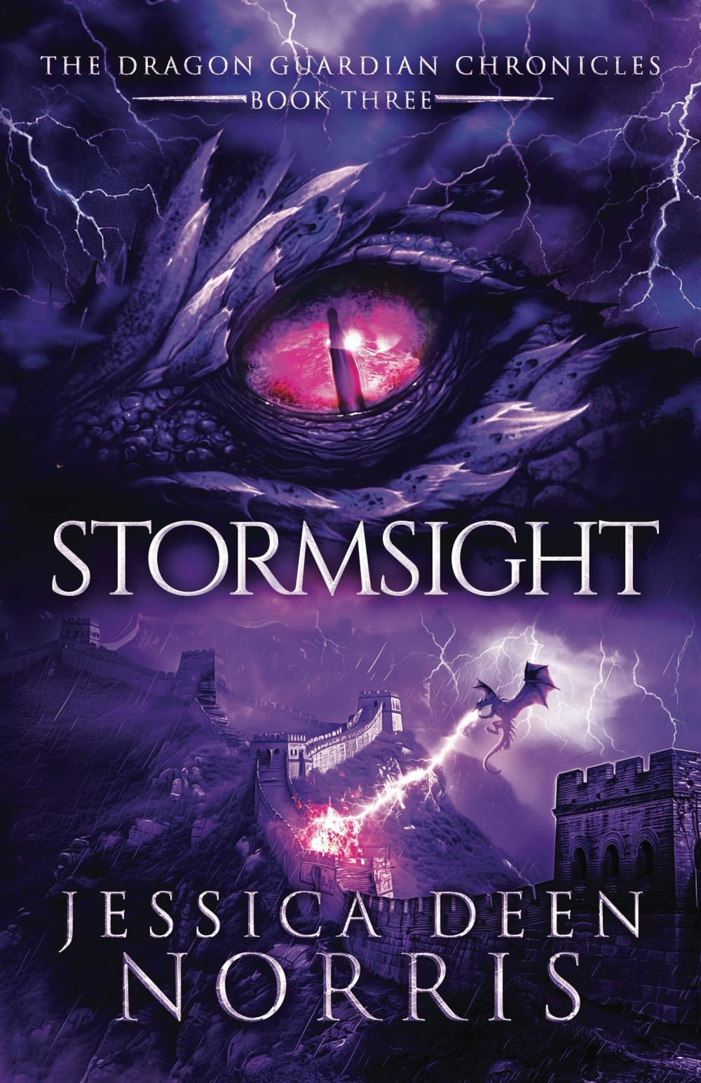 Stormsight: 3 (The Dragon Guardian Chronicles)