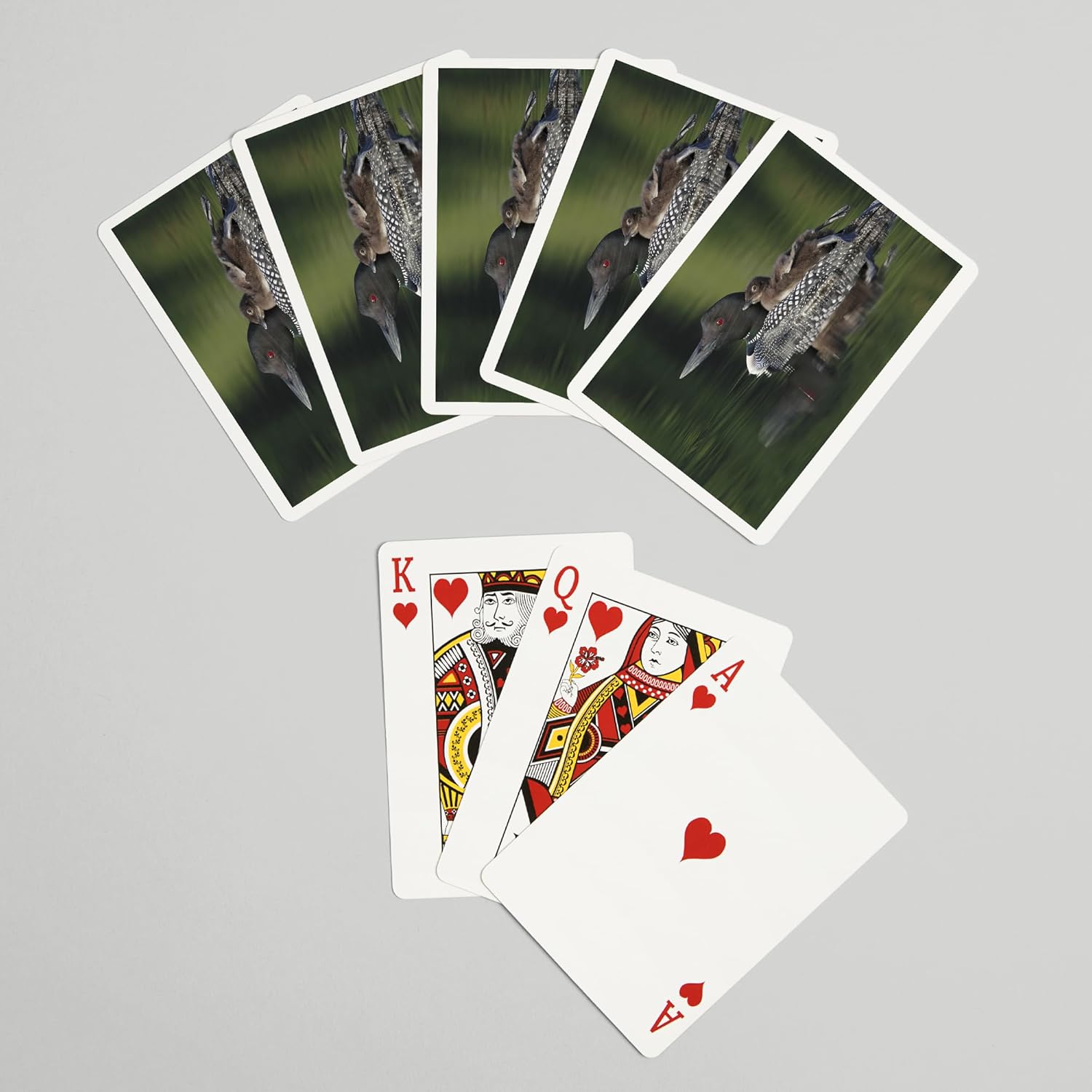Lantern Press Loon and Chick, 52 Playing Cards for Adults, Poker Size Card Deck
