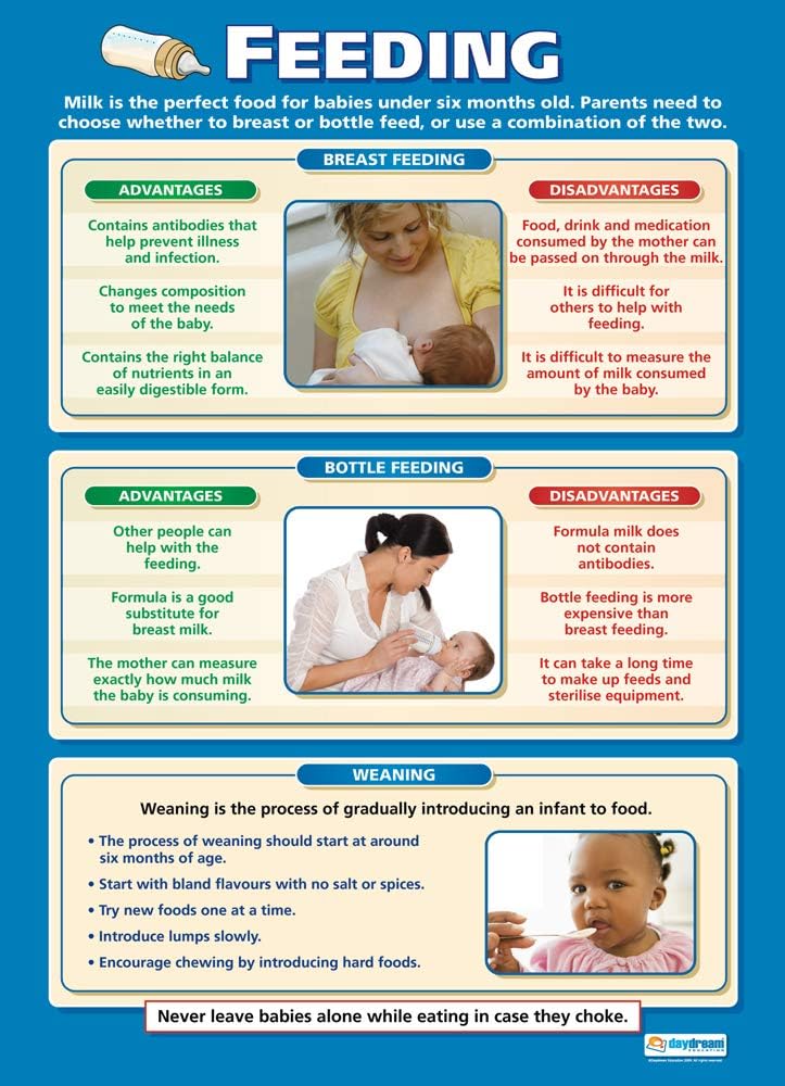 Feeding Child Development Poster – Gloss Paper – 33” x 23.5” – Educational School and Classroom Posters