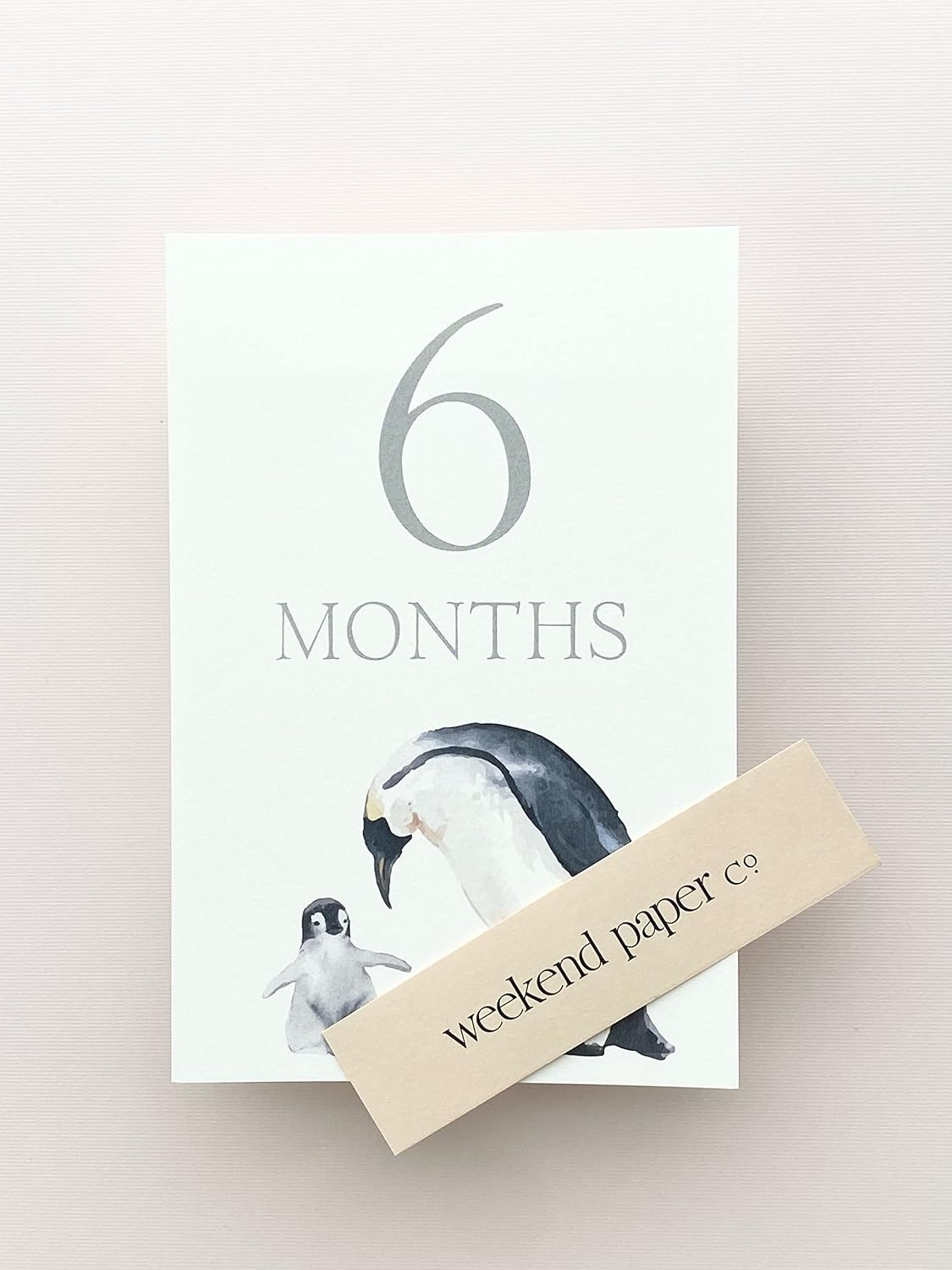 Weekend Paper Co.™ Baby Animals Milestone Cards, baby monthly marker for an expecting mother or new mother, baby gifts or shower registry.