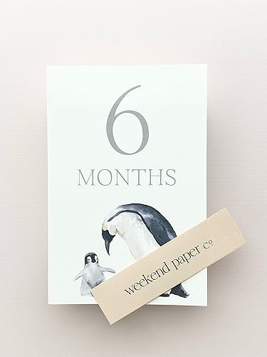 Miniatura 5 de Weekend Paper Co.™ Tarjetas de hitos de animales de bebé, marcador mensual para bebés para una futura madre o nueva madre, regalos para bebés o
