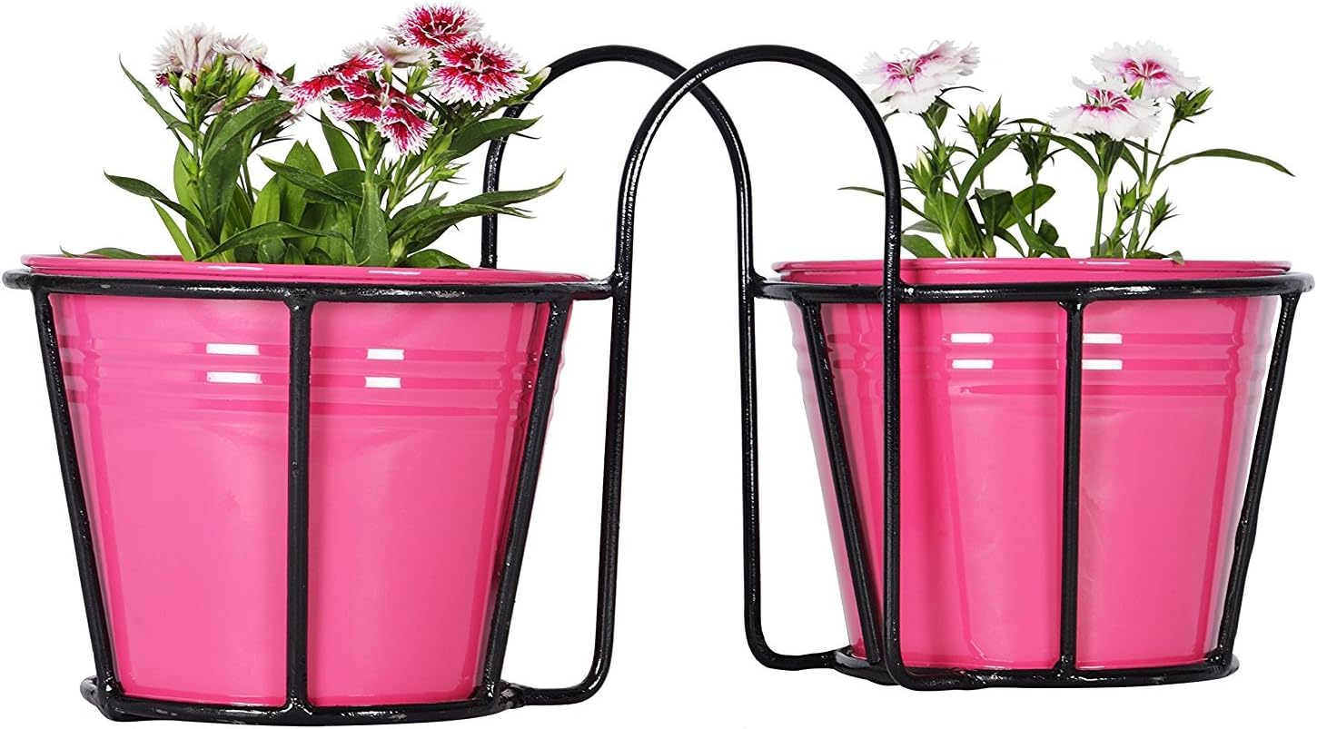 Green Gardenia Iron Balcony Railing Planter/Window Box with Metal Planter (Pink)