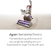 Aspiradora vertical Dyson Ball Animal 3 Extra 3