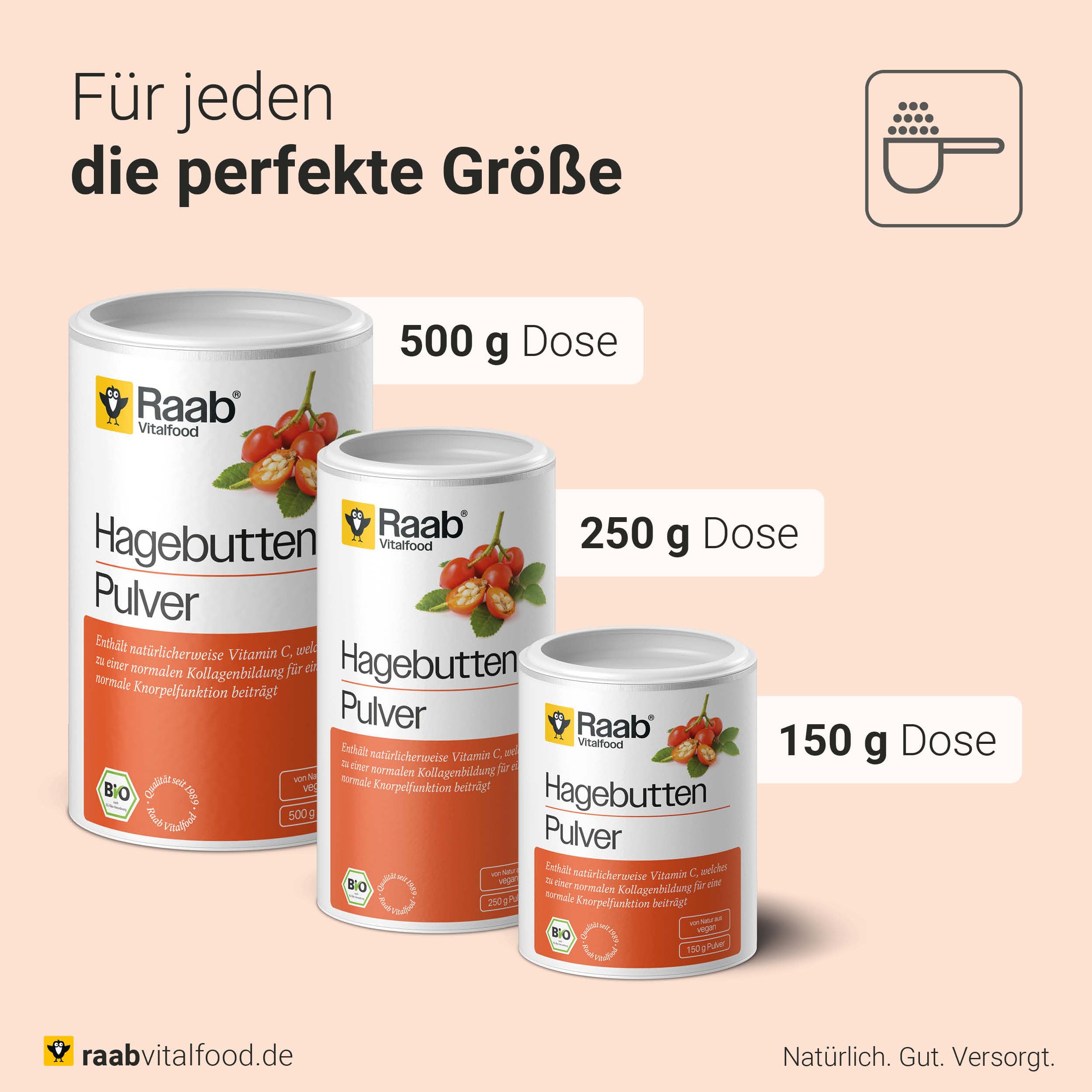 Raab Vitalfood® Bio Hagebutten Pulver (250 g) - Premium-Sorte AP-4® Hagebutte aus dem Süden von Chile, mit natürlichem Vitamin C für eine normale Kollagenbildung & Knorpelfunktion, ohne Zusätze