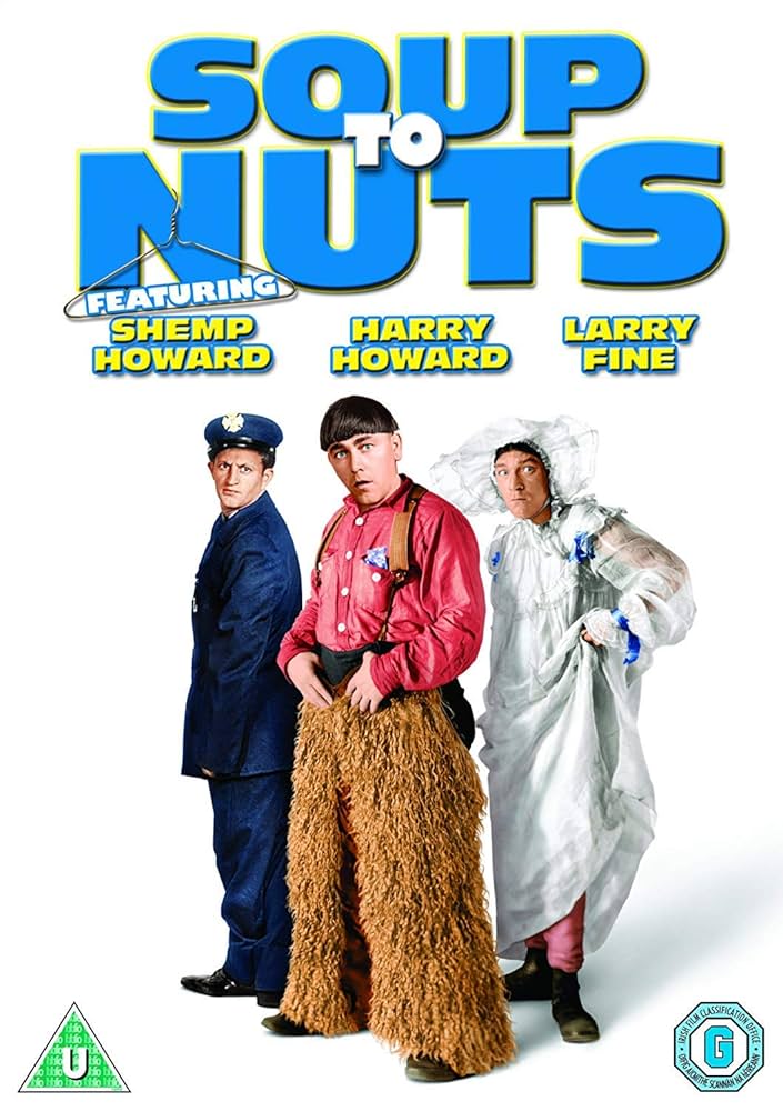 イン・ザ・スープ　DVD ２枚組 セル版】「インザスープ」DVD 2枚組 廃盤 スティーヴ