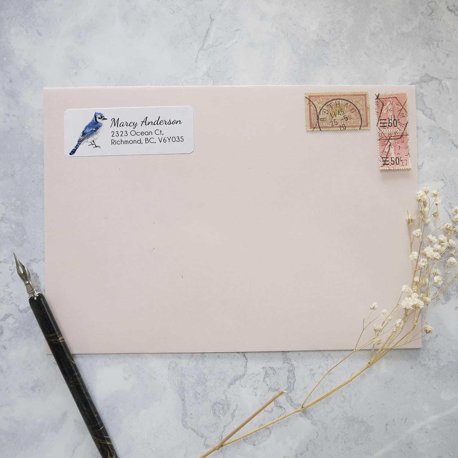 Personalized Return Address Label, Blue Jay Watercolor Art, Welcome Home Gifts, Office Supplies, Self- Adhesive Sticker (Set of 120 Labels)