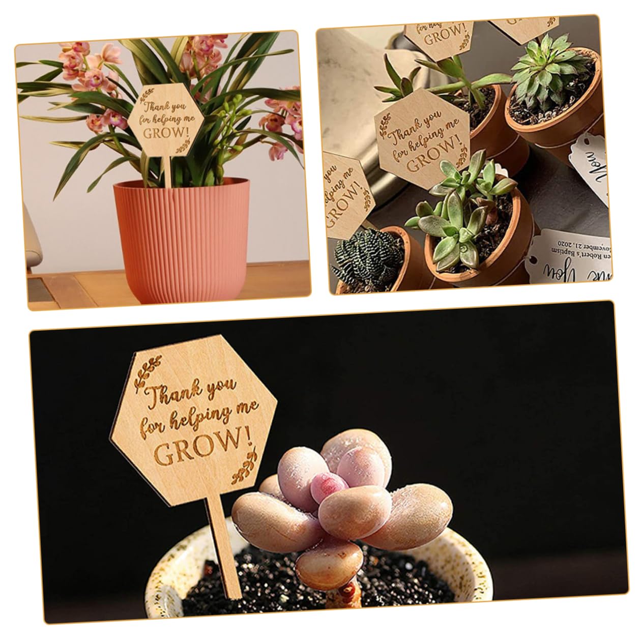 ifundom 5 Set Carta Succulenta Marcatori Da Giardino Etichette Delle Piante Pianta All'aperto Pannelli Di Identificazione Dei Fiori Dell'etichetta Del Vaso Di Legno 20 Pezzi * 5