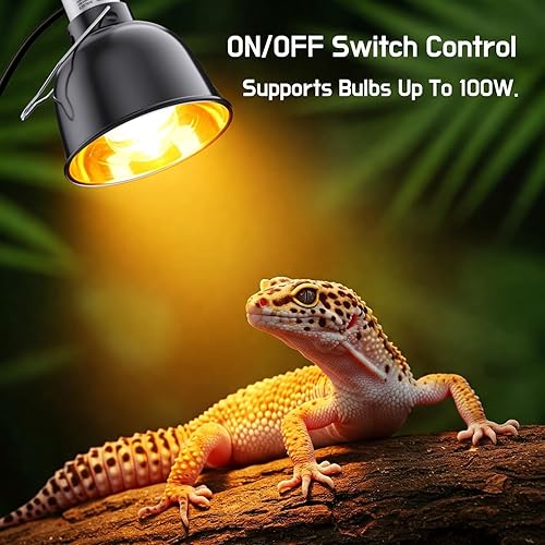 Reptile Light Fixture — lifestyle photo