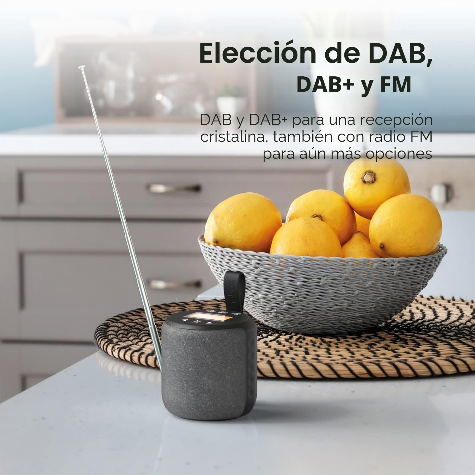 Dab Radio portátil, Altavoz Bluetooth, Radio Dab Plus/Dab, Radio FM, IPX4, Resistente al Agua, Tipo C, USB, 5 W, Recargable