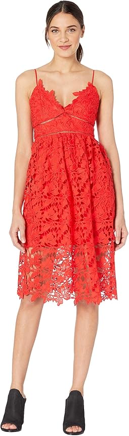 bardot sophia lace dress