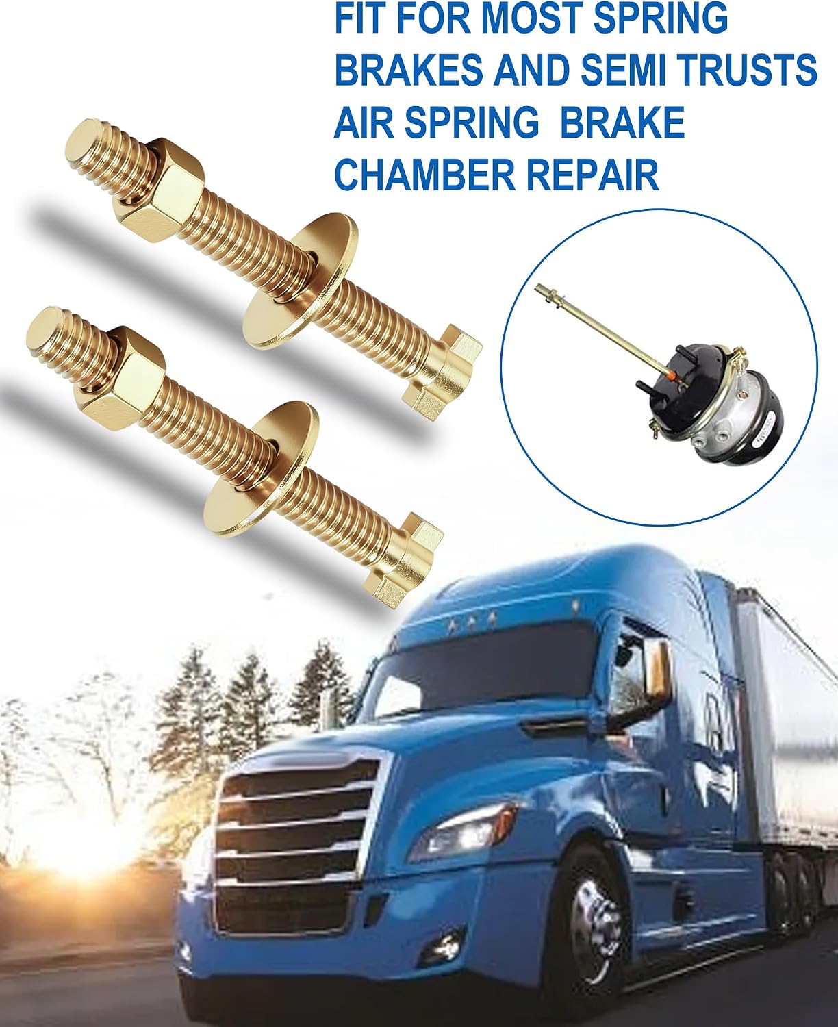 TR800921 Brake Cage Bolt Cagebolt fit for Semi Truck Release Cage,for Air Spring Brake Chamber Repair,with 1 x 3/4" Socket Tool Replaces 800921,10pcs