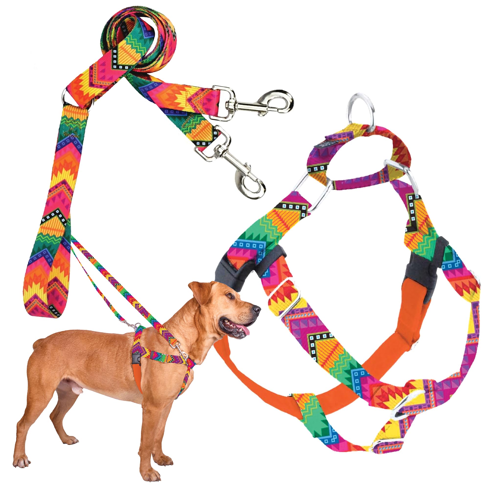 2 Hounds Design - Freedom No-Pull Harness & Training Leash in Multi-Color | Dual Leash Loops, No Pulling on Walks | Lined to Prevent Chaffing | for Large Sized Dogs (Size L, Chest 28”- 32”) — image 1