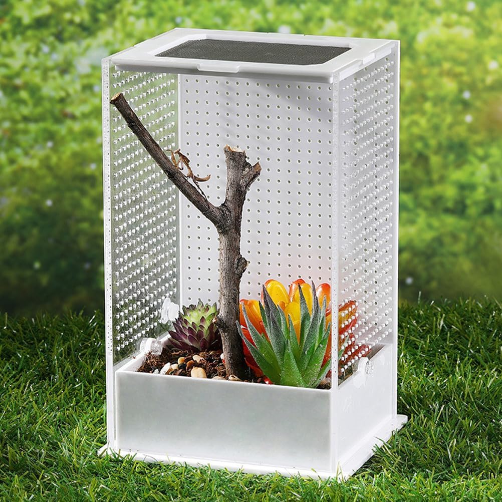 2 Pcs Feeding Box Insect Breeding Container Transparent Habitat Reptile Tarantula Scorpion Lizard