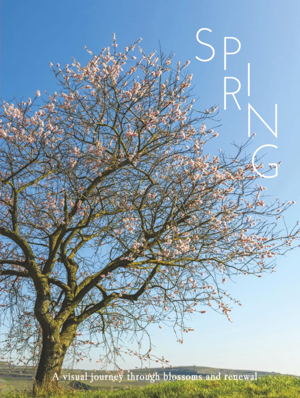 SPRING: A visual journey through blossoms and renewal (THE COFFEE TABLE BOOKS)      Hardcover – January 8, 2026
