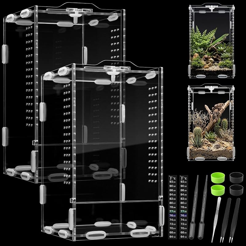 Kit Terrário para Aranha Saltadora em Plástico Transparente com Trava e Ventilação, Acellegic, Pacote com 2