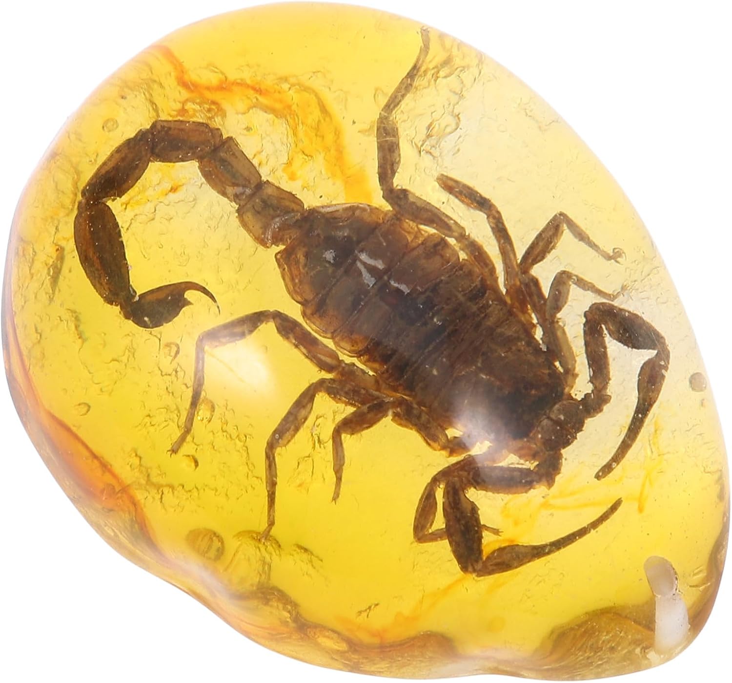 Printable Pretty Insects Beaupretty Amber Pendant with Scorpions Insect Teardrop Shape Natural ...