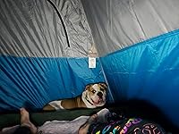 Review Image by AMBulldogQueen AMBulldogQueen