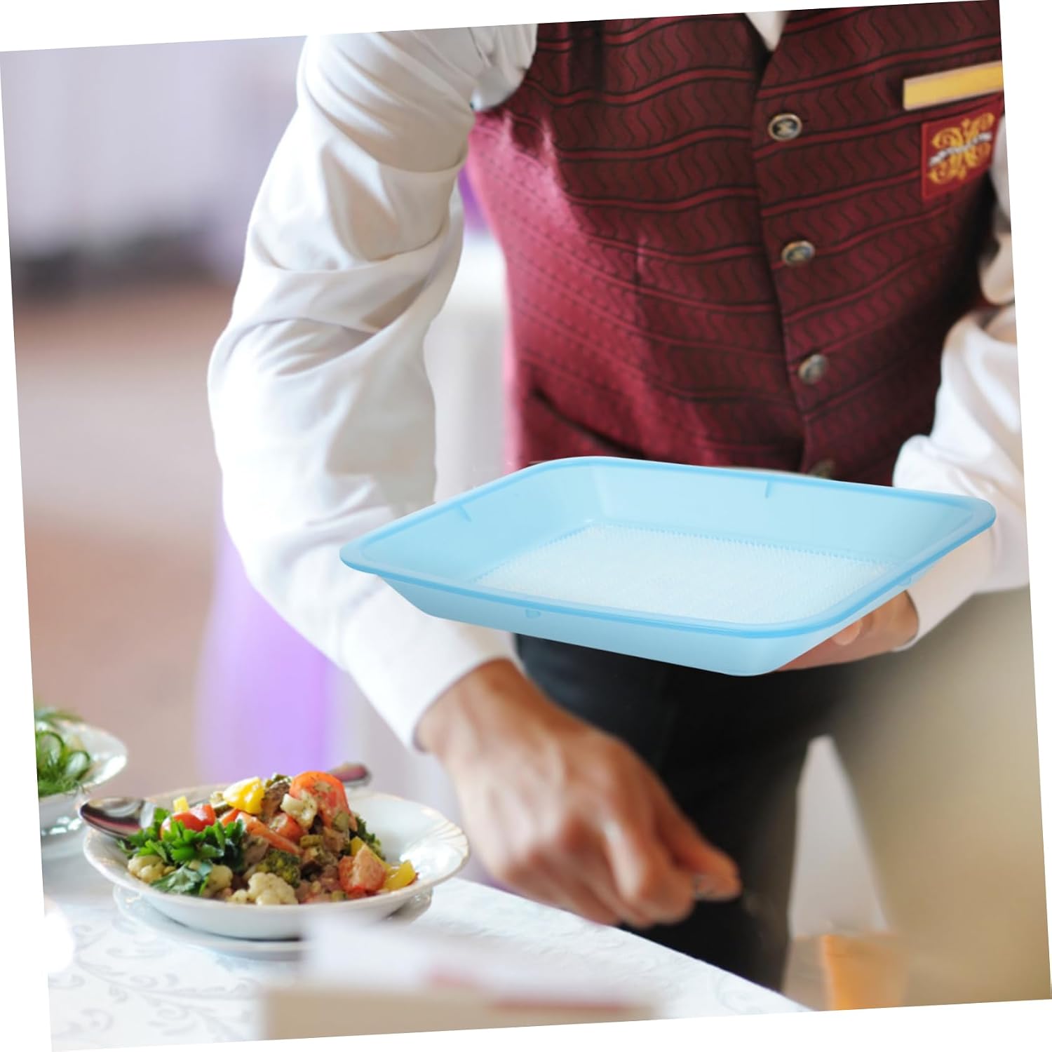 Mobestech Plastic Serving Plate for Restaurant Dual-Purpose Tip Tray for and Snacks Sturdy and Compact Design for Home Use and Food Service