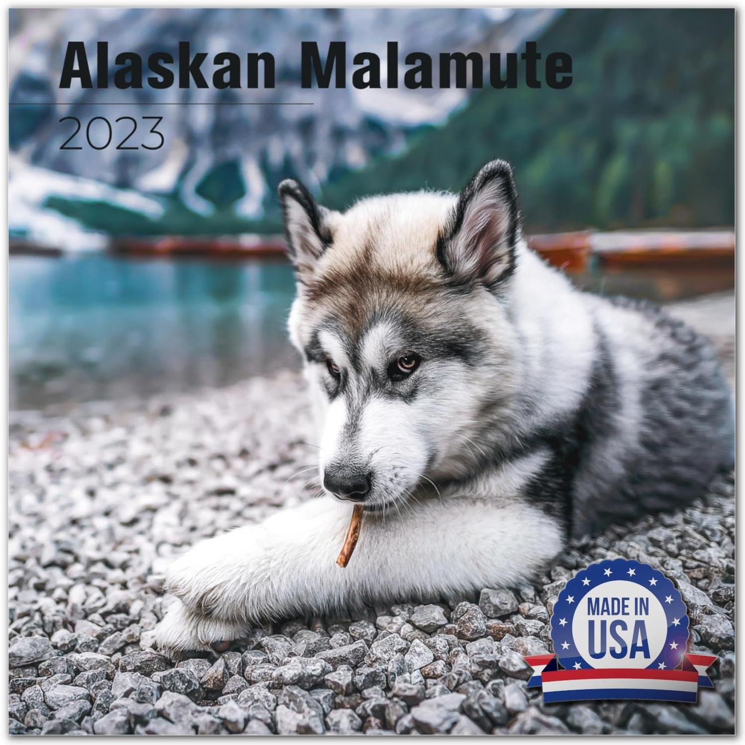 2022 2023 Alaskan Malamute Calendar Dog Breed Monthly
