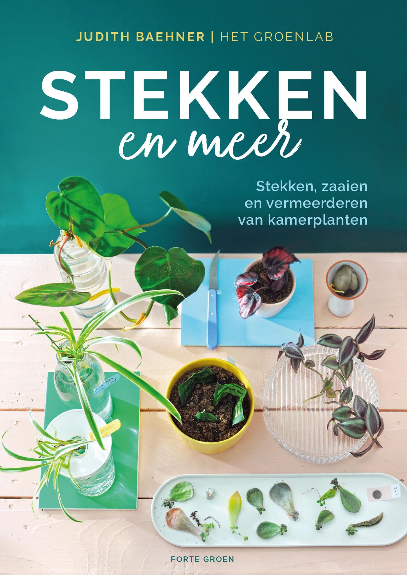 Stekken en meer: stekken, zaaien en vermeerden van kamerplanten