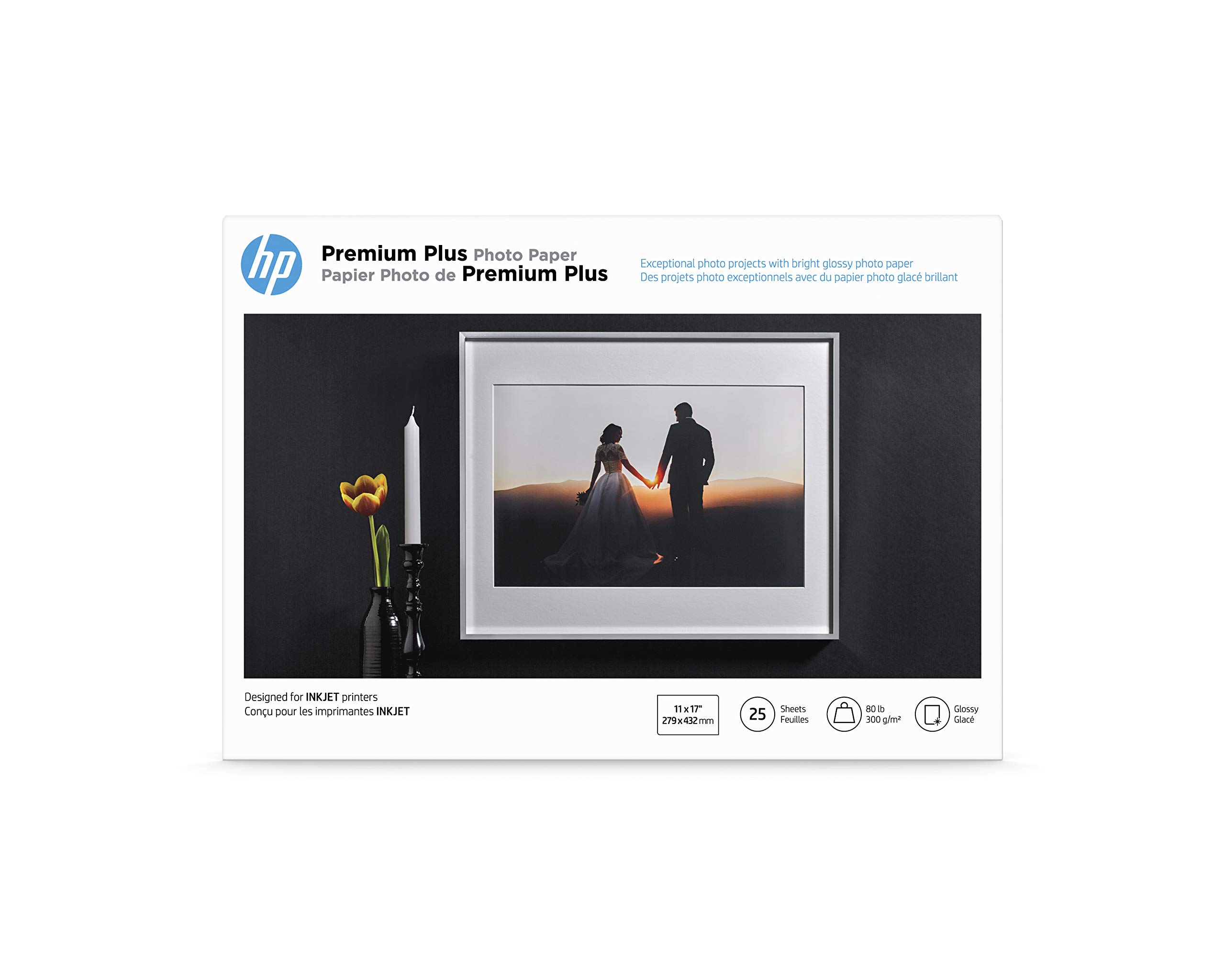 HP Advanced Glossy Photo Paper, A4 (210 X 297mm), 250 G/m2,