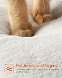 Ver la foto 5