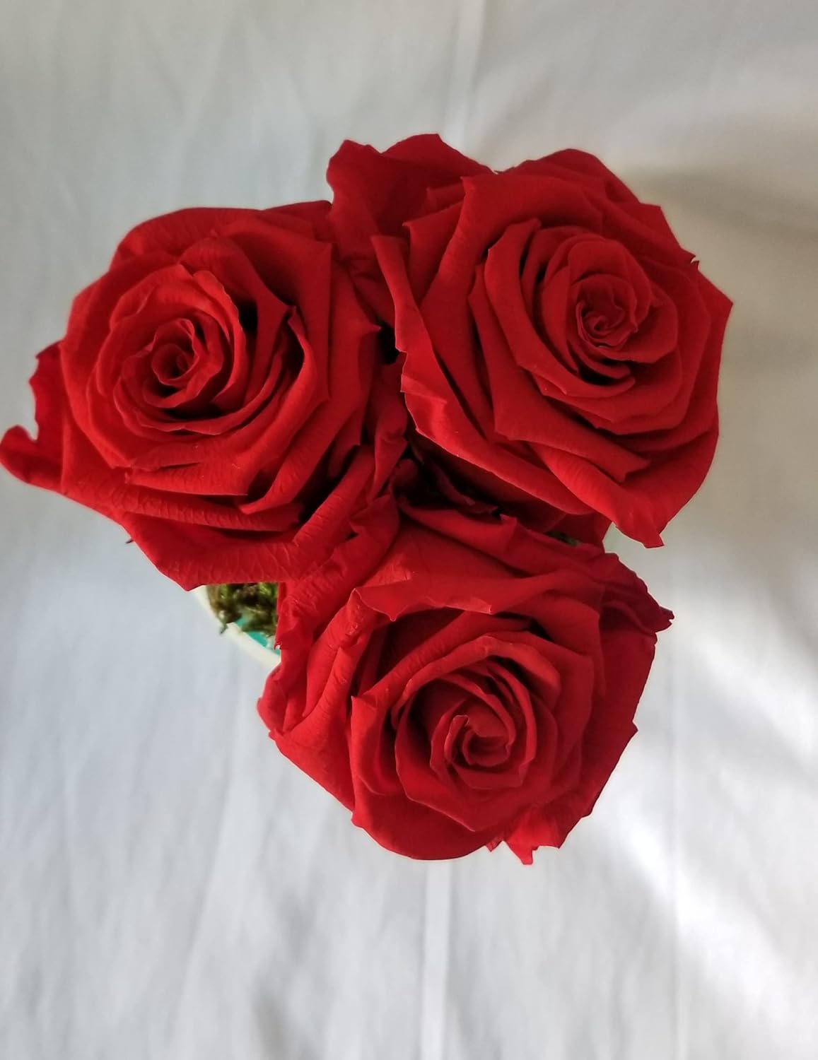 Mother's Day Anniversary Just Because Lovely Preserved Roses from Ecuador (Red, Teal Glass Vase)
