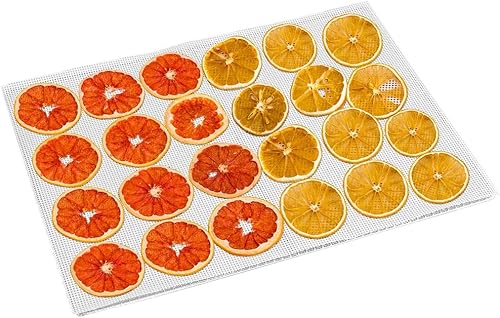 Pantallas de malla para máquina deshidratadora de alimentos, hojas de deshidratador de silicona, bandejas de deshidratador de malla, hojas de