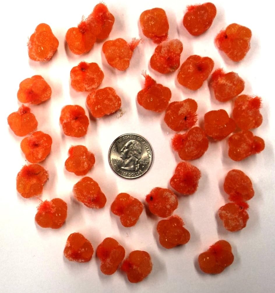 Catchmore Orange Spawn Sacs; 36 Sacs; Harvested/Processed in Michigan; Certified; #SS12VOR