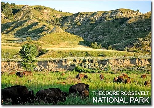 Theodore Roosevelt National Park & Bison - Imán para refrigerador de viaje, tamaño 2.5 x 3.5 pulgadas