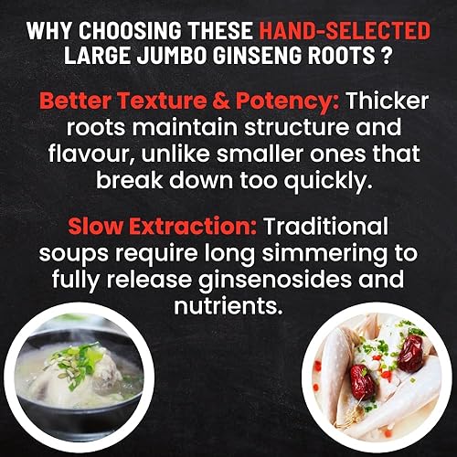 Miniatura 4 de Raíces de ginseng canadiense 8.01 oz  5 años de tamaño grande Jumbo  Hacer sopa de ginseng  EnergíaInmunidadEnfoque